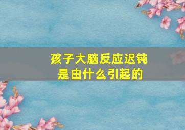 孩子大脑反应迟钝 是由什么引起的